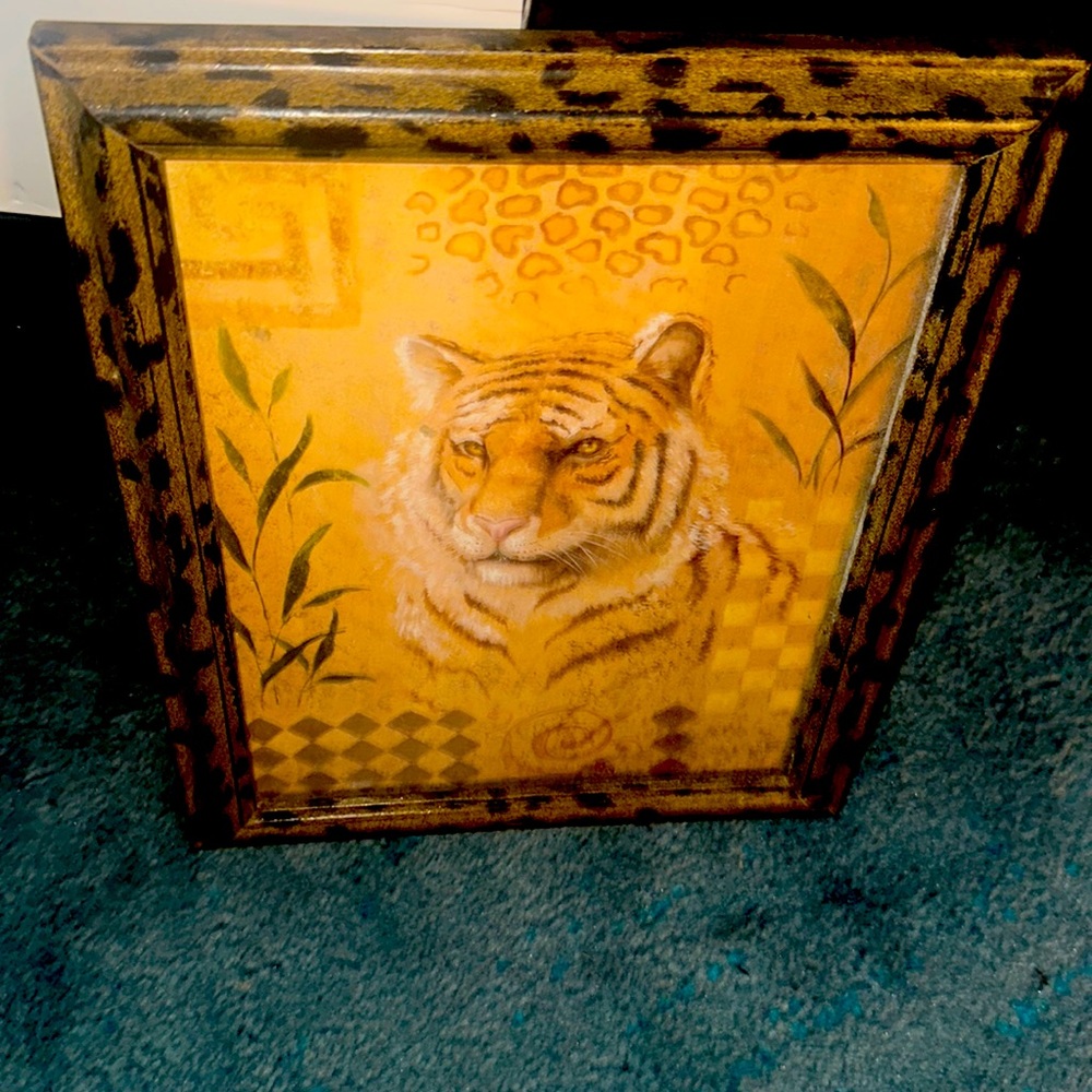 Leopard print picture of Tiger. 8 by 10 inches w/ glass